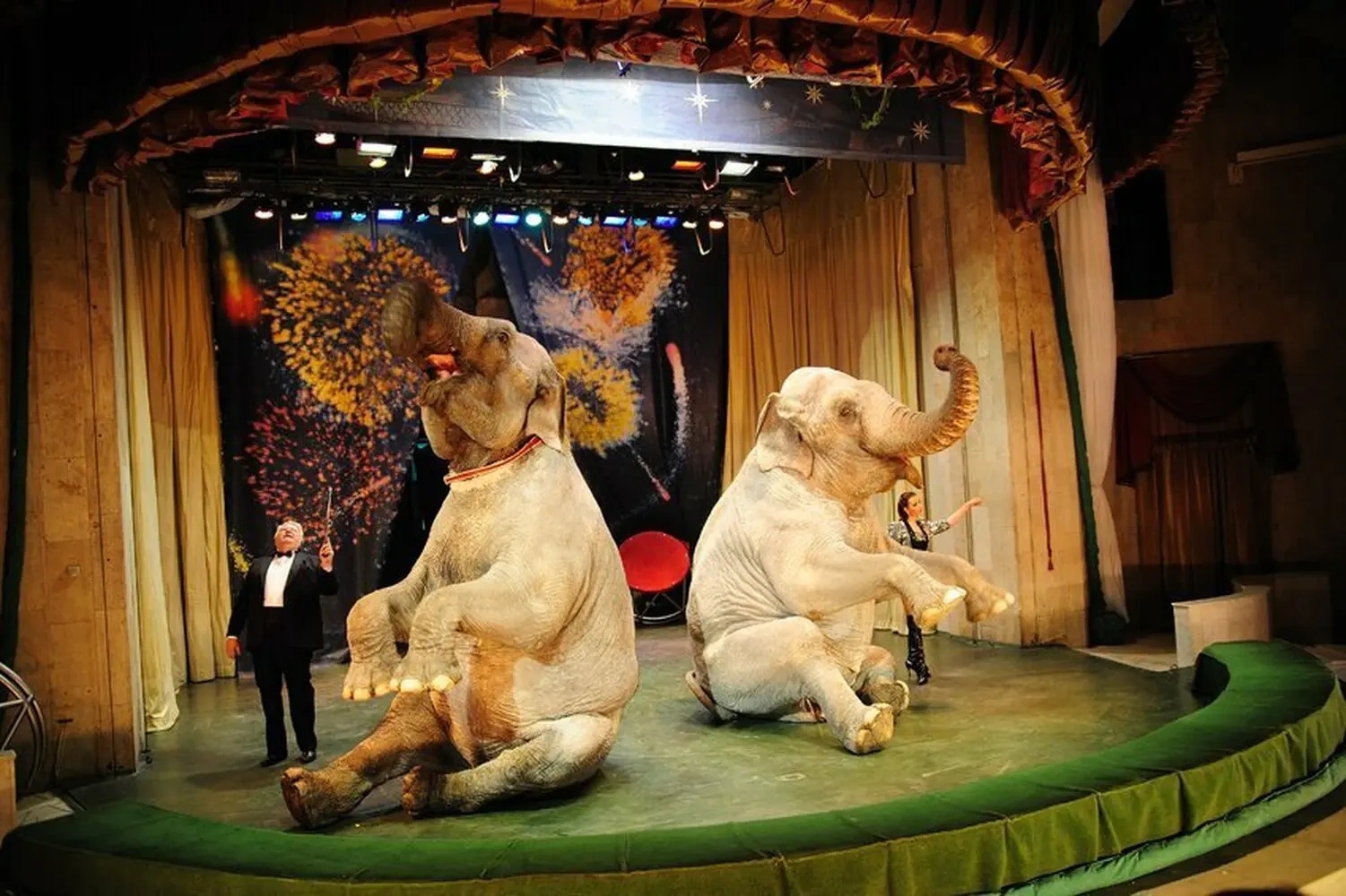 Артисты театра уголок Дурова