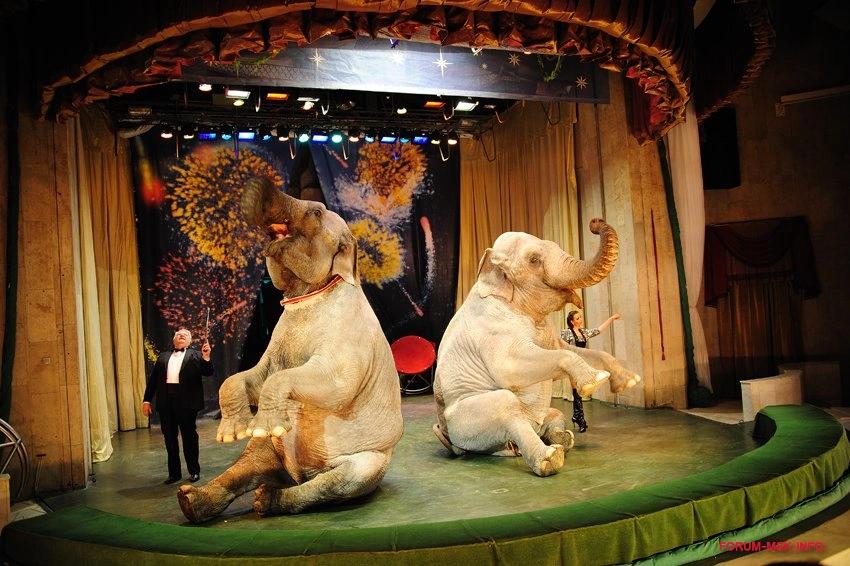 Event image В гостях у дедушки Дурова