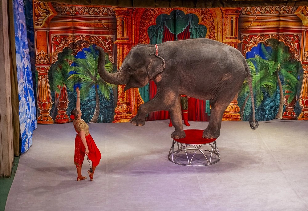 Архитектура и история здания Театра «Уголок Дурова» 